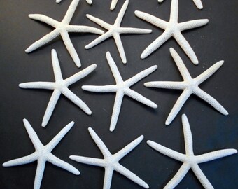Set of 12 White Finger Starfish 8" - 10" Beach Weddings Crafts Coastal Decor Nautical