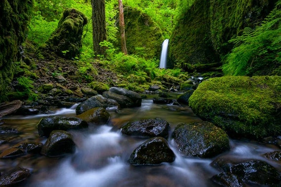 Fine Art Photo Print Mossy Grotto Falls Columbia River Gorge