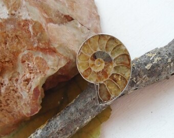 Ammonite fossil, ring, Ø 18.25 mm, adjustable, silver plated
