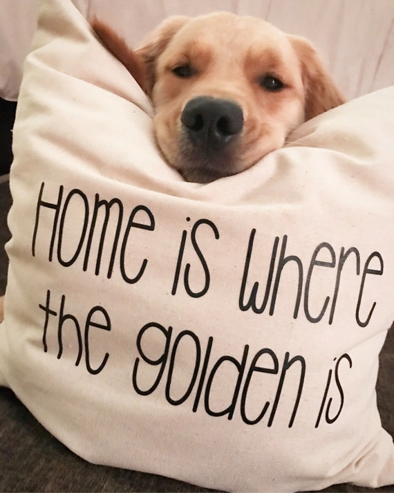 Home is where the golden is pillow COVER