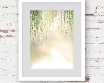 string of pearls print, modern bohemian art print, tropical botanical art print, dreamy wall art, botanical photo art, hanging plant art