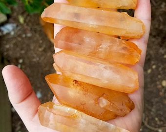 Zesty Tangerine Quartz Points from Mongolia - 1 Large - Bring Order to Chaos, Salve for Psychic and Energy Attacks, Release the Useless