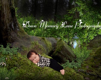 Digital Background/ Newborn Digital Background, Baby Backdrop, Forest Background, Digital Newborn Prop,Boy Background