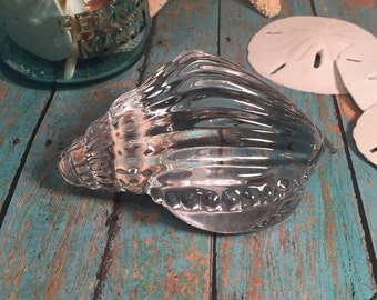 Items similar to Florida Sea Shell Seashell Glass Paperweight Paper ...