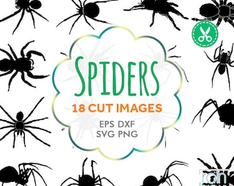 Spider Svg, Spider Clipart, Spider Silhouette, Insect Svg, Tarantula, Svg Silhouette, Svg Cutting File, Cuttable Svg, Svg Bundle, Svg Cuts