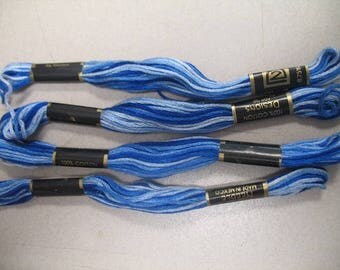 Blue Ombre Embroidery Floss