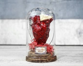 Anatomical Heart in Glass Dome Display - Miniature - Gothic Decor - Odd Gift - 2.75 x 1.73 inches / 7 x 4,4 cm