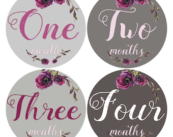 Baby Girl Monthly Stickers 1-12 Month Stickers Girl Month Age Labels Baby Belly stickers Lavender Grey Purple Floral Baby Growth Keepsakes