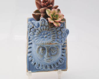 ceramic wall planter miniature succulent wall pocket garden art