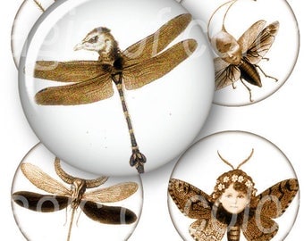 Whimsy Entomology - 63 1 Inch Circle JPG images - Digital Collage Sheet