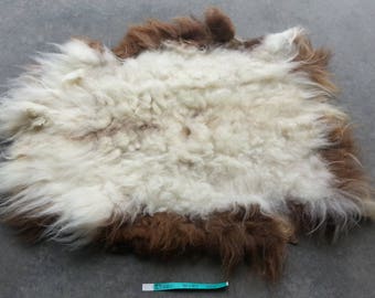 Icelandic Sheepskin - Badger Moorit and SUPER Long Wooled Sheep Hide - Lot No. 25201TURQ