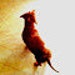 Epic Doxie