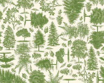 C4011-Green Trail Mix by Riley Blake Designs 3 yards