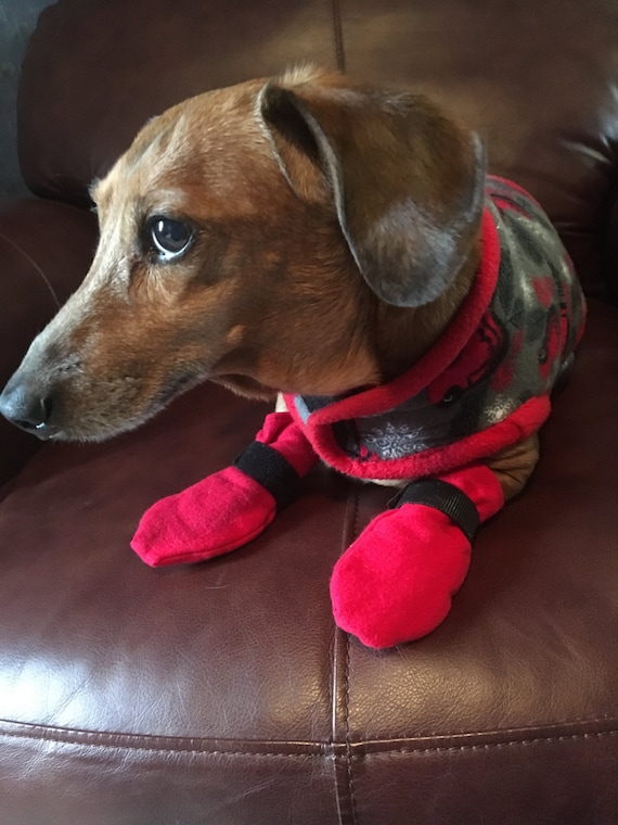 Items similar to Miniature Dachshund/Small Dog Boots Pet Supplies Pet