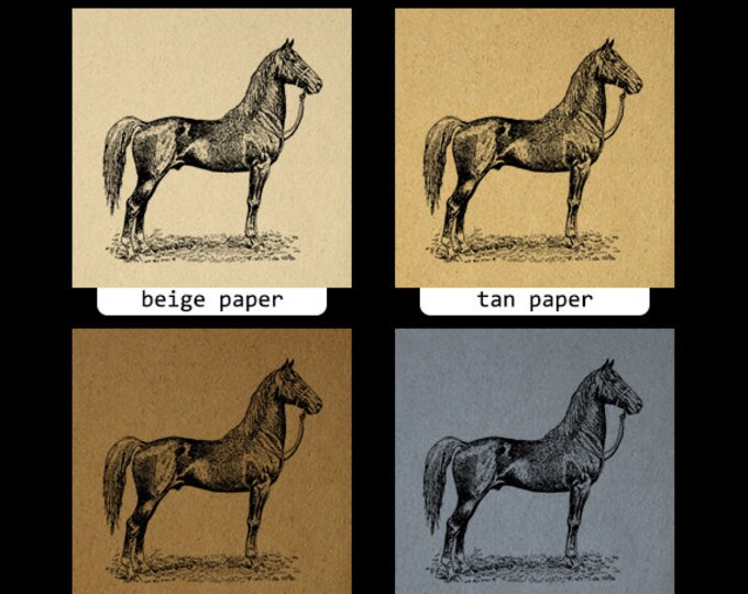 Antique Horse Graphic Digital Printable Farm Animal Download Image Vintage Clip Art Jpg Png Eps HQ 300dpi No.3536