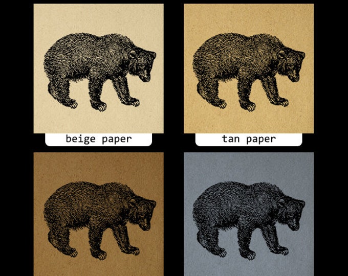 Digital Graphic Bear Image Animal Download Bear Printable Illustration Vintage Clip Art Jpg Png Eps HQ 300dpi No.4148