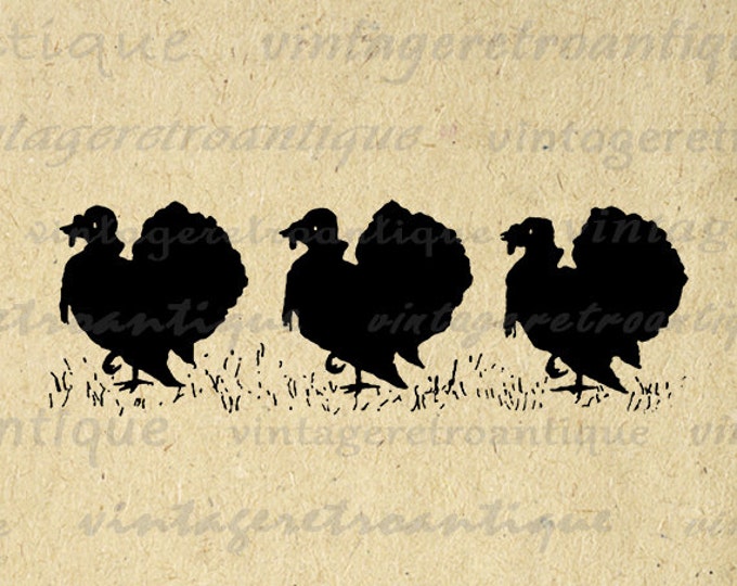 Digital Image Three Turkey Silhouettes Graphic Thanksgiving Printable Download Vintage Clip Art Jpg Png Eps HQ 300dpi No.3266