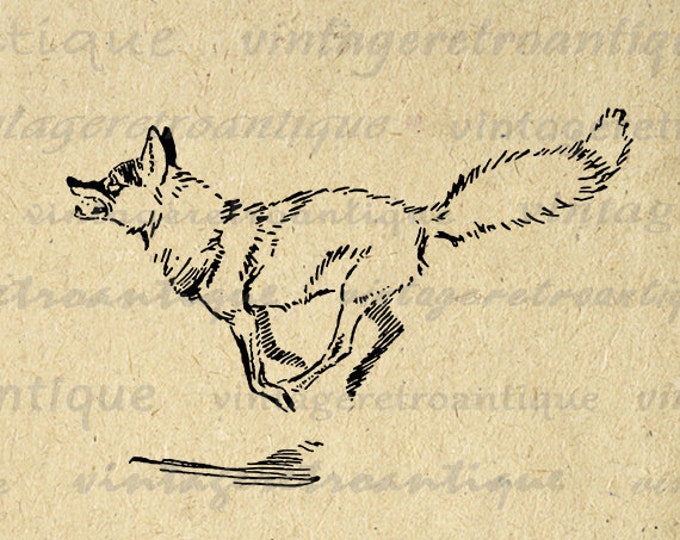 Running Fox Digital Printable Download Animal Illustration Image Graphic Vintage Clip Art Jpg Png Eps HQ 300dpi No.878