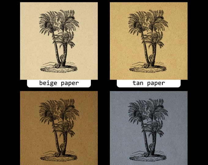 Printable Image Palm Tree Graphic Digital Download Artwork Vintage Clip Art for Transfers Making Prints etc HQ 300dpi No.3622