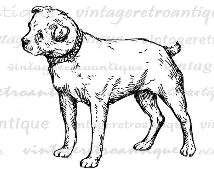 Dog Antique Graphic Digital Printable Download Image Jpg Png Eps HQ 300dpi No.280