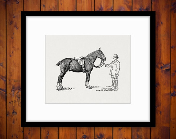 Horse with Handler Graphic Image Digital Download Printable Vintage Clip Art Jpg Png Eps HQ 300dpi No.3128