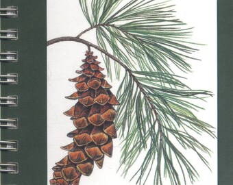 Mini Journal - White Pine - Recycled Paper Spiral Bound Journal or Notebook, Kids gift, Teacher gift, Educational and Ecofriendly