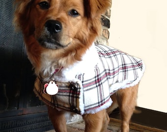 Custom Winter Dog Coat
