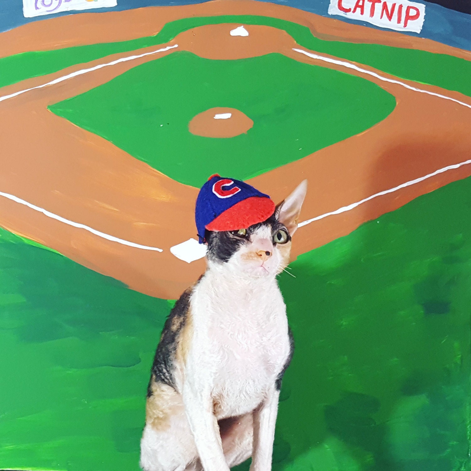 baseball pet hat for cats dogs and small pets
