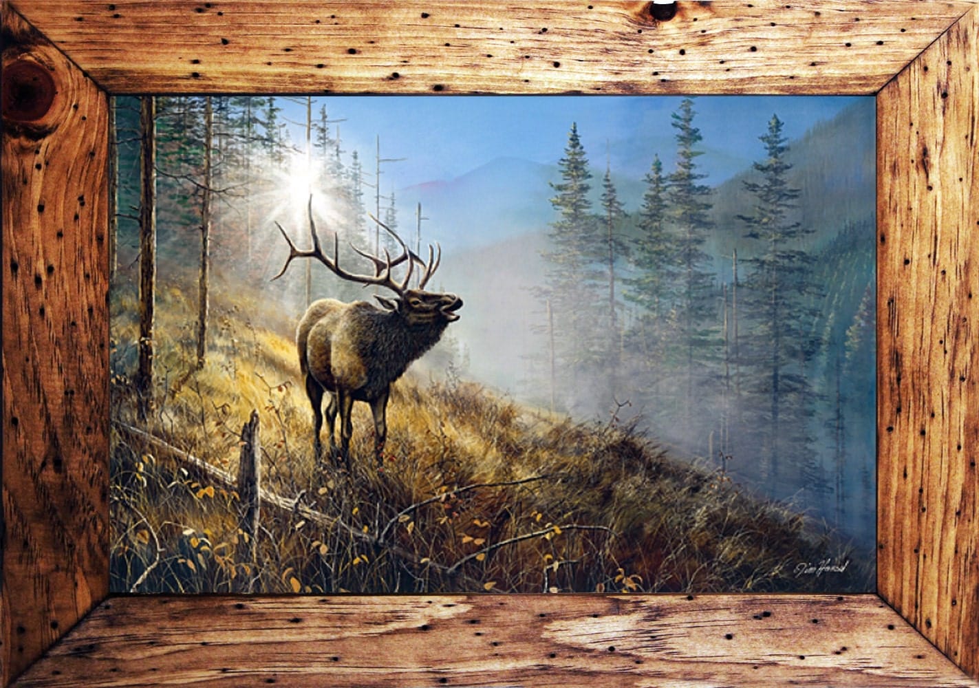 Elk framed print Jim Hansel Outdoor art Elk decor Lodge