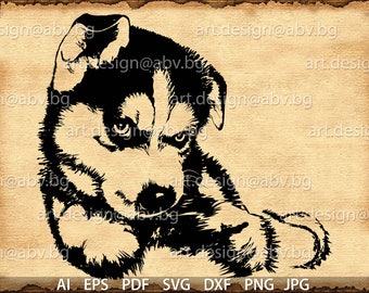 Vector DOG, husky baby, AI, eps, pdf, svg, dxf, png, jpg Download, Digital image, graphical, dhole, animal, discount coupons