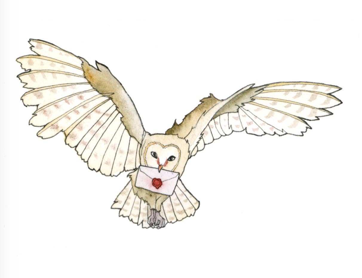 Owl Post Art Print Harry Potter Fan Art Owl Delivering Mail