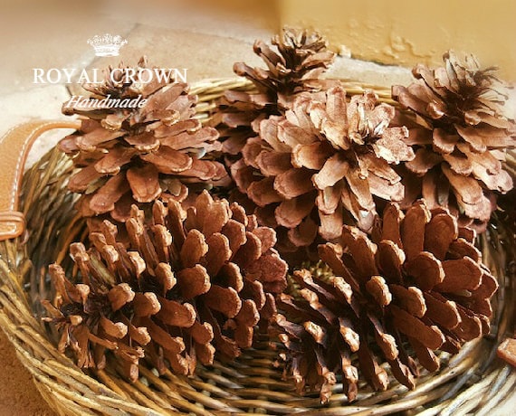 items similar to pinecones decorations centerpiece for items similar to pinecones decorations centerpiece for