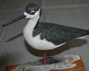Black-Necked Shorebird woodcarving.bird carving, basswood,hand carved,