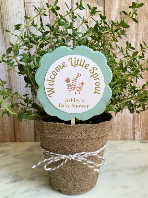 8 Baby Shower favors flower\/plant favors personalized