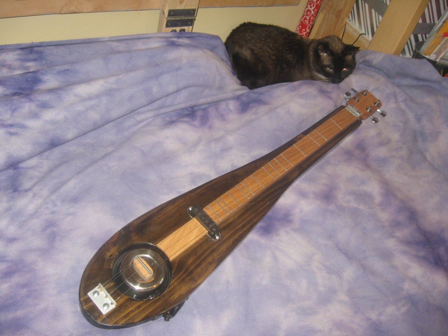 Electric Mountain Dulcimer with Dog Dish Resonator Solid Body