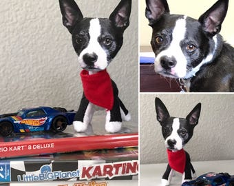 Personalized Pet - Boston Terrier, Bull Dog