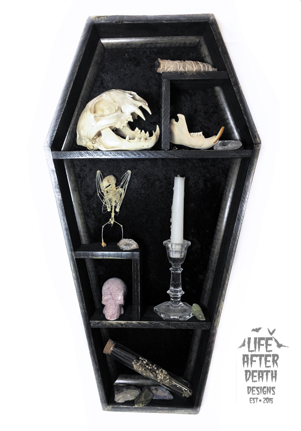 COFFIN CUBBY Shelf Coffin Shelf Cubby Shelf Display Case