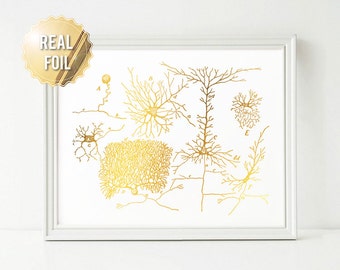 Neuron Art Neuroscience Art Gold Foil Print - Gift for Medical Student - Vintage Greys Anatomy Medical Illustration - Gift Neuroscientist