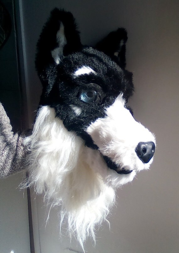 Blue eyed husky style fursuit head mask black and white fur