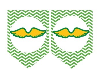 Girl Scout Juniors Banner