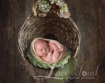 Newborn digital background digital backdrop Newborn Backdrop prop - newborn / Digital Photography / 102