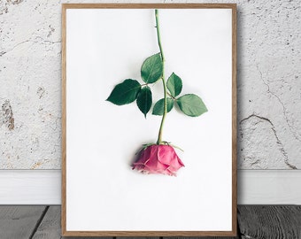 Trendy Wall Art succulent print cactus wall art digital download printable Trendy Wall Art succulent print cactus wall art digital download printable