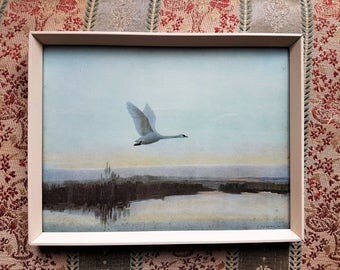 Vintage Swan Print, Green Symphony, Vernon Ward
