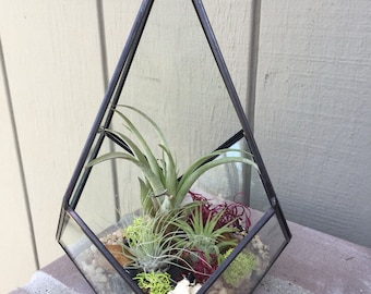 Glass Geometric Diamond Terrarium with Air Plants, KIT to make terrarium, DIY kit to make your own terrarium, air plants, terrarium