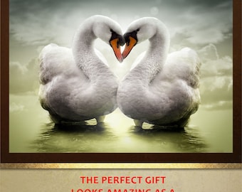 Love Swans poster print Wall Art in 4 sizes