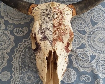 Painted Cow Skull | Etsy