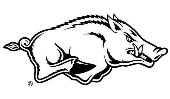 Arkansas Razorbacks SVG Digital File