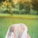 McKenzie Hiser