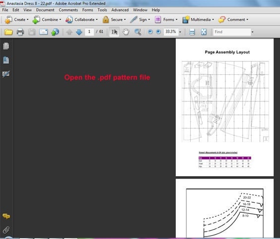 Adobe Acrobat Reader open image