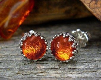 Amber Earrings - Sterling Silver Post Earrings - Amber Studs